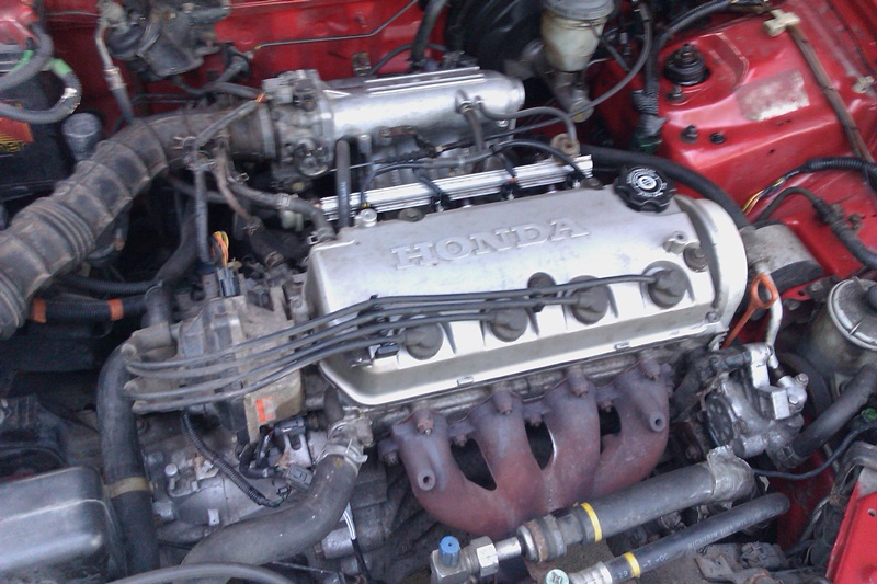 IMAG0057S4.jpg