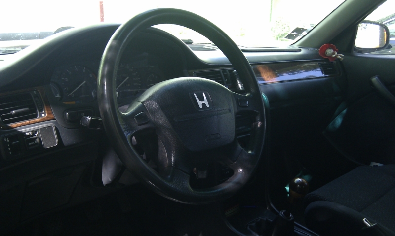 IMAG0264.jpg