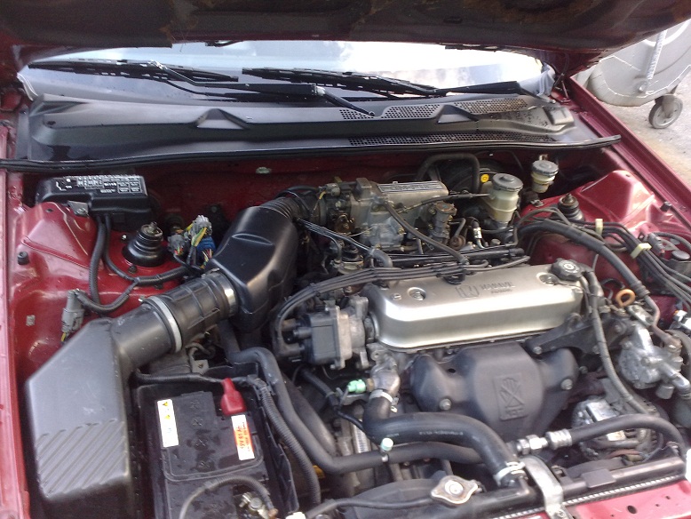 26102010671.jpg