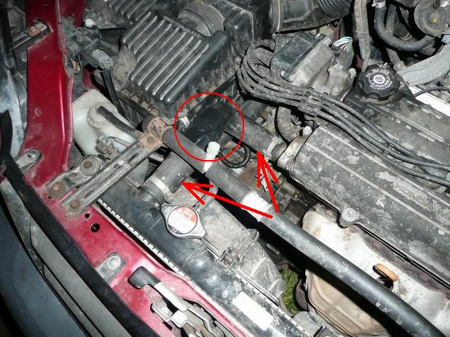 P1100215-resize.JPG