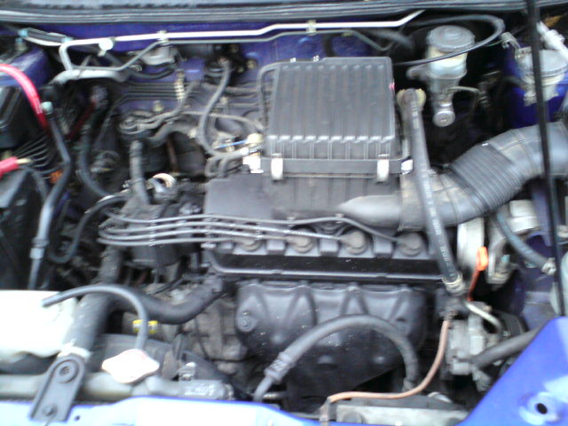 DSC00483.JPG