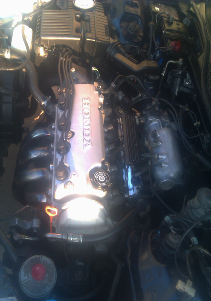 motor.jpg