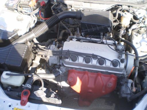 3170672_11.jpg