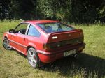 084zm.JPG