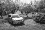 Honda FR-V.jpg