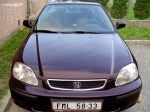 lilek_3.jpg