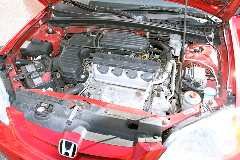 ttIMG_2408.jpg