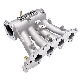 manifold Skunk2
